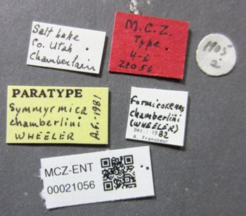 Media type: image;   Entomology 21056 Aspect: labels